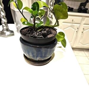 Blue & Tan Ceramic Planter With Saucer and Drainage Holes Preowned 6"x6"x4"
